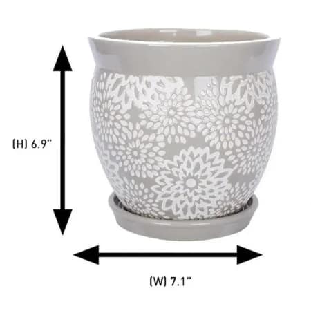 m_wp_644d7fcf382db85b5836f224