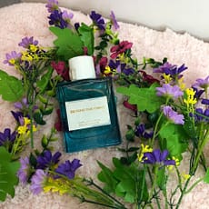 Alternative view of Beyond the Coast