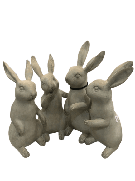 WhatsApp_Image_2025-01-30_at_07.31.05-removebg-preview